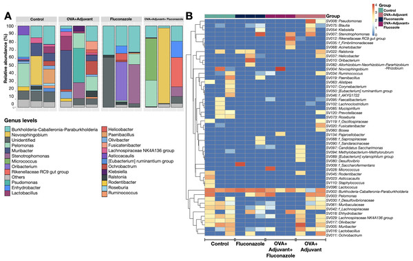 Microbiome analysis from the lung of control, asthma, fluconazole in normal mice, and fluconazole in asthma as indicated by bacterial abundance in the genus (graph and heat map presentation) (A, B), (n = 3/group).