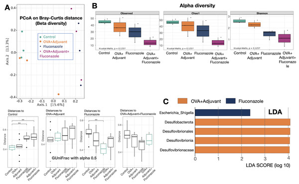 Microbiome analysis from the lung of control, asthma, fluconazole in normal mice, and fluconazole in asthma as indicated by beta diversity using the principal coordinate analysis (PCoA) based on Bray Curtis dissimilarity (A upper part) with the distance comparisons (A lower part), the alpha diversity, including observed Operational taxonomic unit (OTUs), Chao-1, and Shannon (B), and the linear discriminant analysis (LDA) (C), are demonstrated, (n = 3/group).