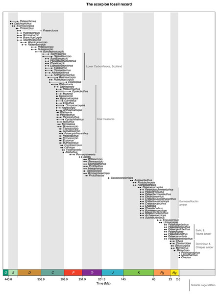 A range through time graph showing the fossil record of the Scorpiones based on records from the palaeobiology database.