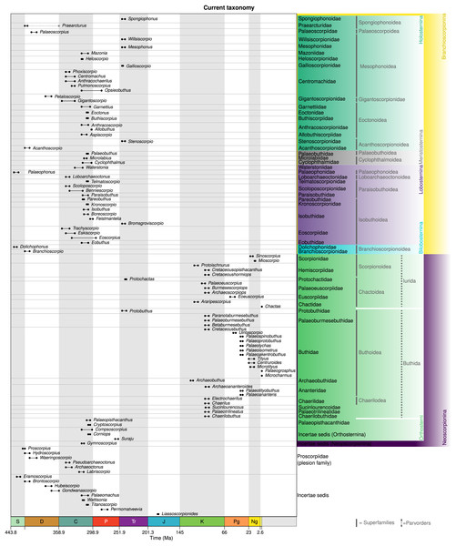 The current status of fossil scorpion taxonomy, which represents a combination of numerous schemes.