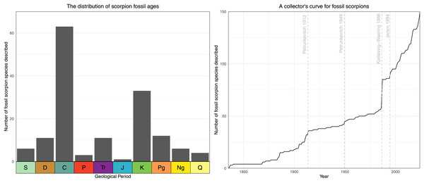 The scorpion fossil record through time.