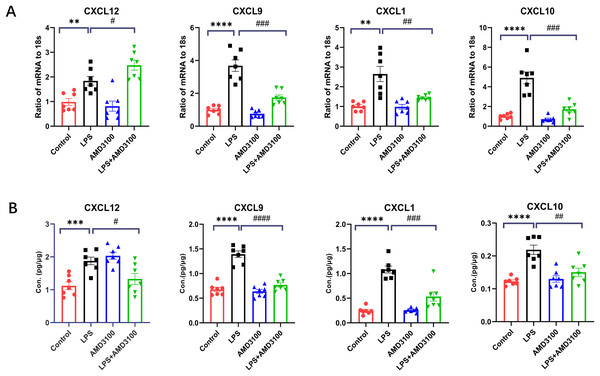 The verification of key genes.