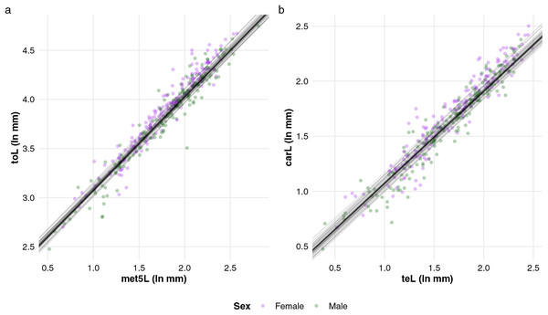 Linear relationships between (A) total length and the length of metasomal segment V, and (B) carapace length and telson length in buthid scorpions (n = 195) were estimated using Bayesian phylogenetic mixed linear models.