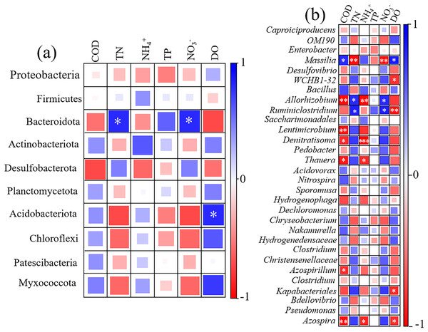 Correlation heatmap between microbial relative abundance at phylum (A) and genus (B) levels and removal efficiency of pollutants as well as DO in UVFCW.