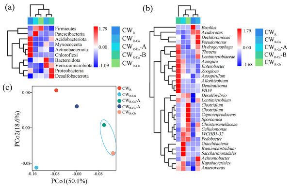 Heatmap of species composition and PCA (C) analysis of functional units at phylum (A) and genus (B) levels.