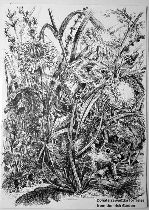 Mice