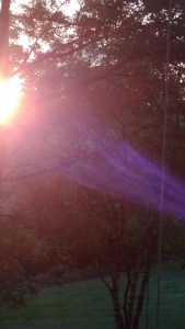 purple light