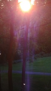 purple light 2
