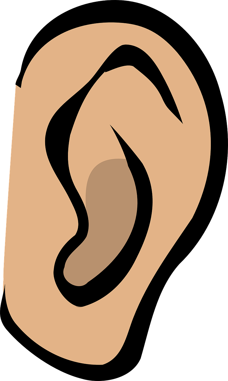 ear