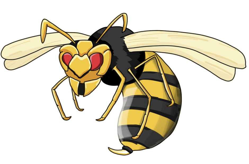 wasp