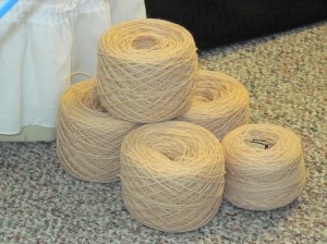 IMG_0031