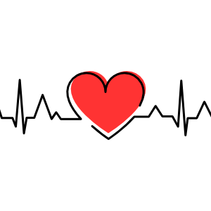 Fix Site Health Error: The authorization header is missing