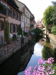 IMGP5176