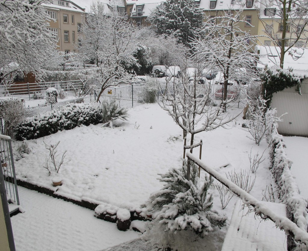 Februar1