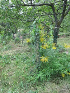 Ecke nachher