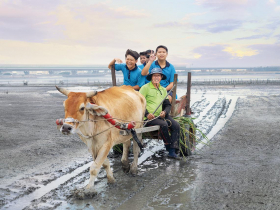 永續城市SDGs大調查》彰化奪永續創新獎，扭轉偏鄉廢校危機