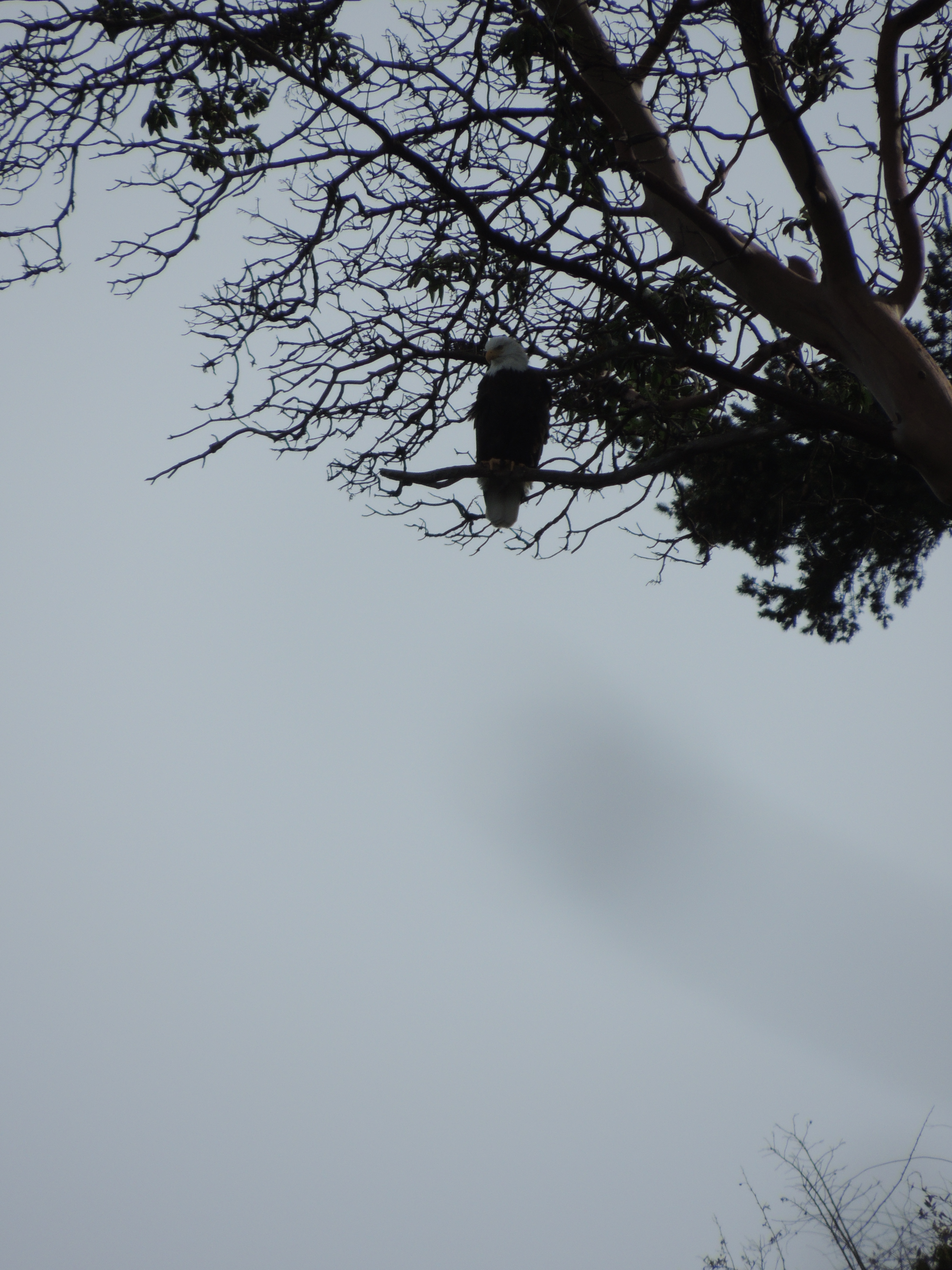 DSCN2203.JPG