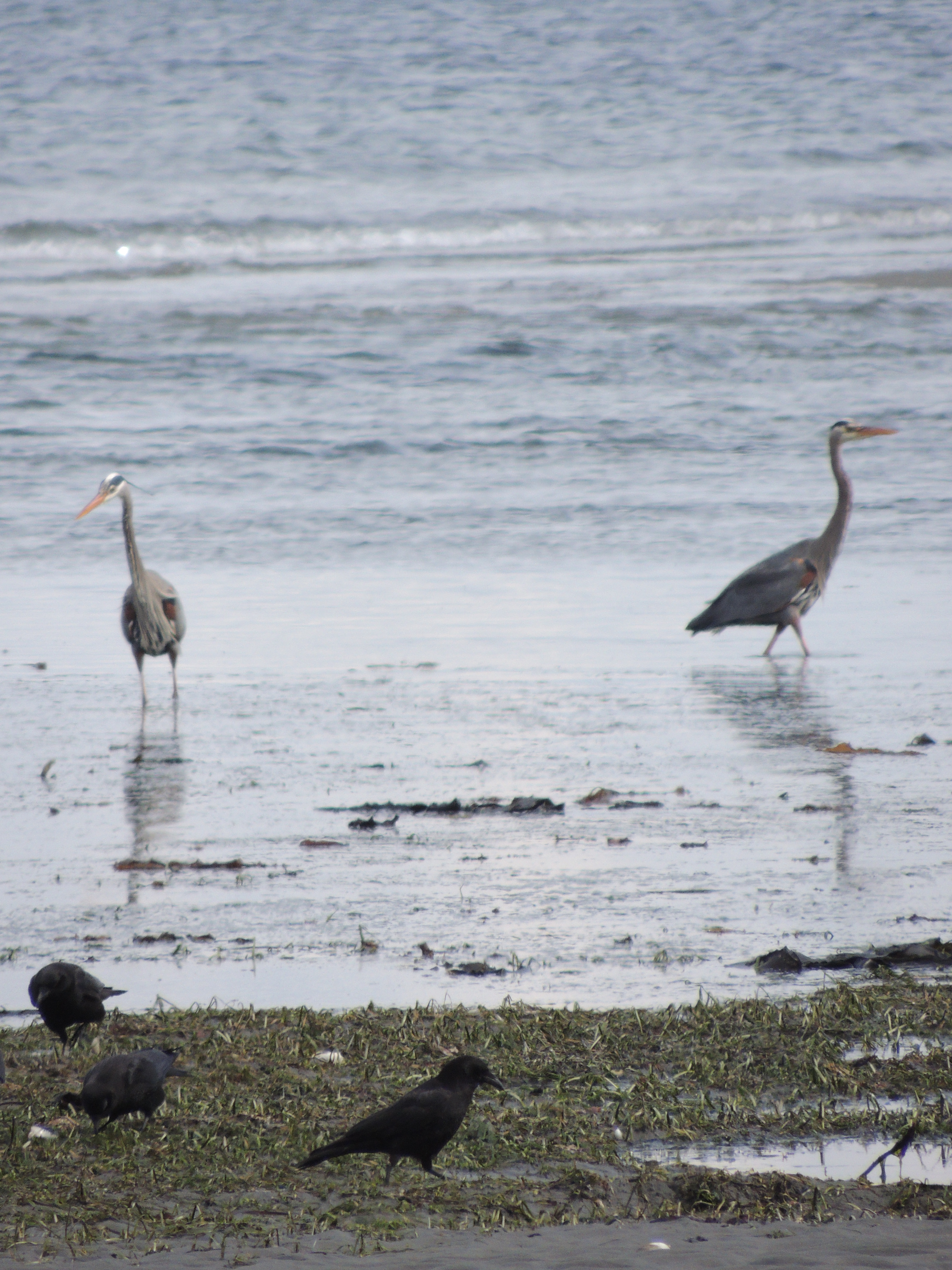 DSCN2146.JPG