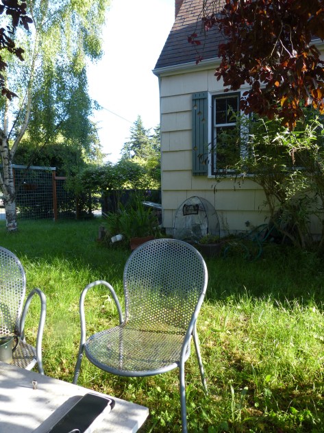 P1100132.JPG