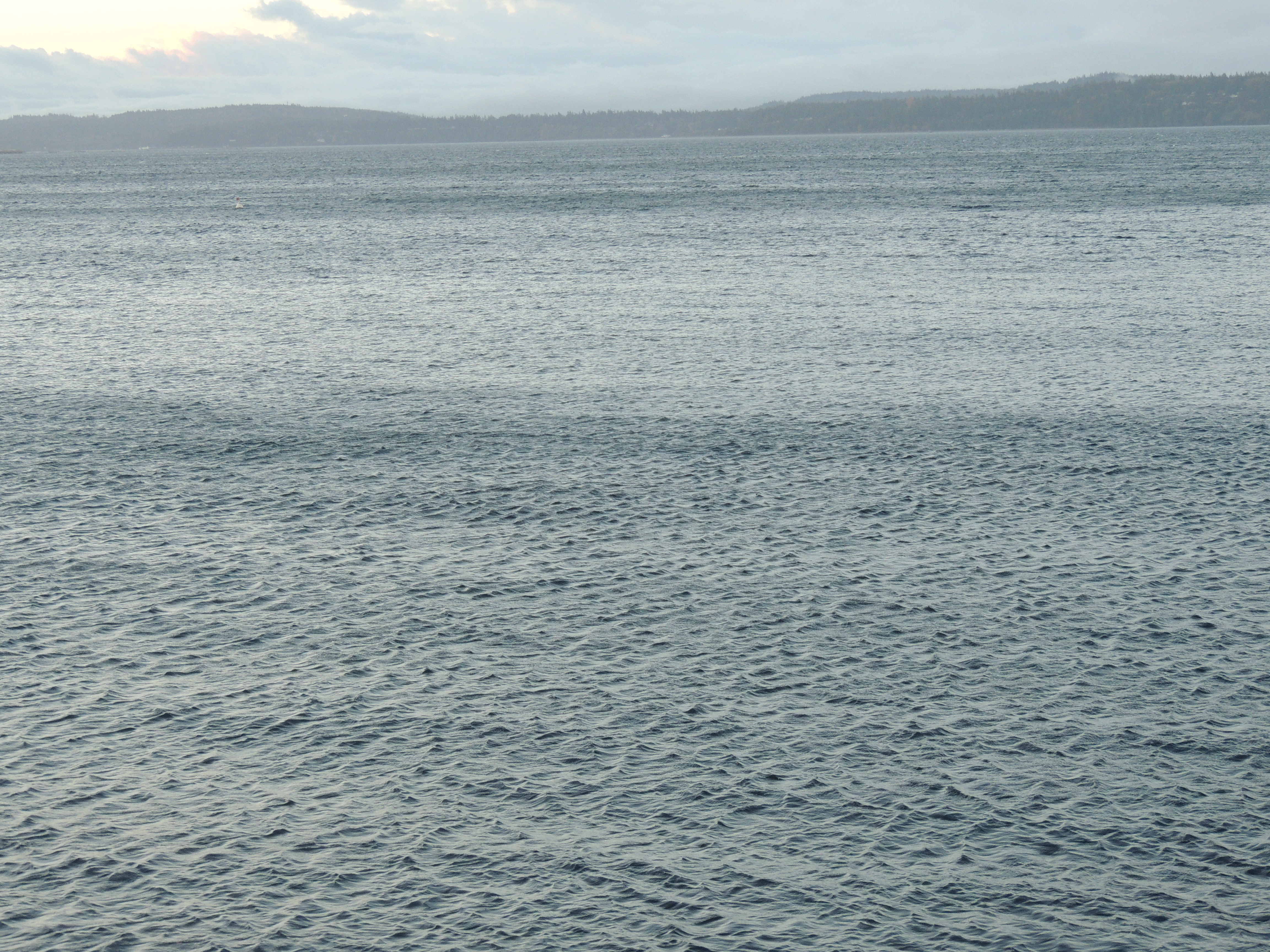 DSCN4436.JPG