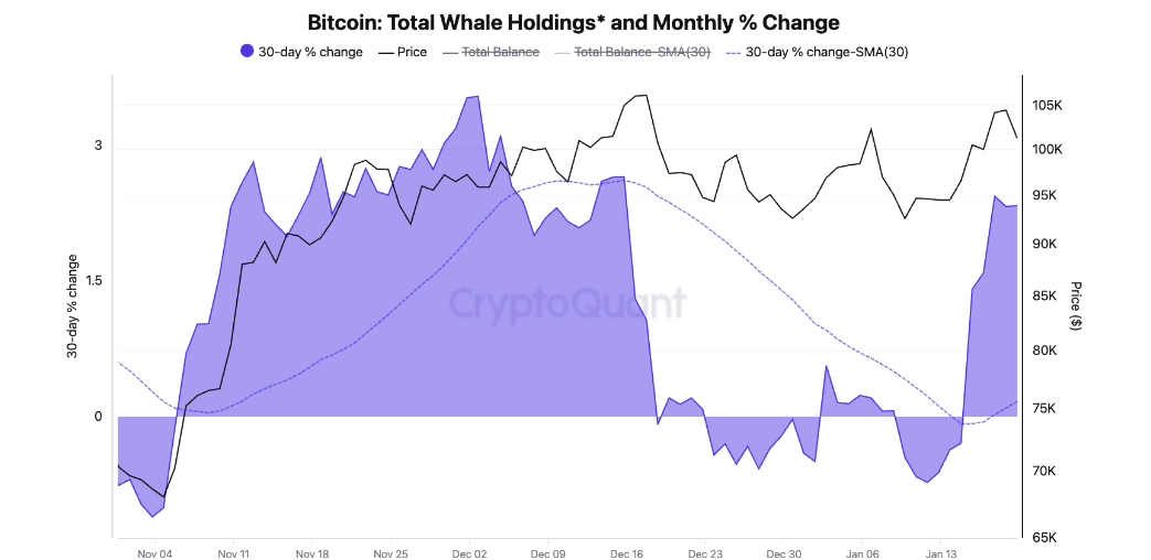 Bitcoin total whale holdings and monthly % change chart. Source: CryptoQuant