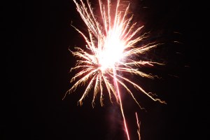 img_0441 img_0441