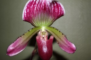 img_0698 img_0698