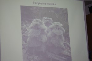 img_0864 img_0864