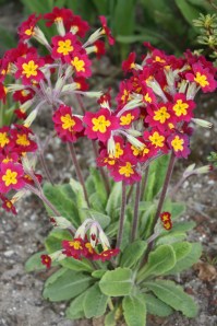 img_1583 img_1583