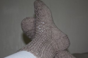 IMG_3417 IMG_3417
