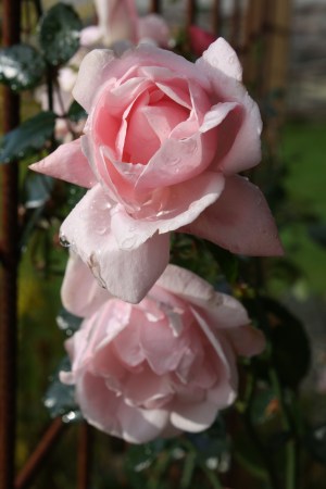 IMG_3479 IMG_3479