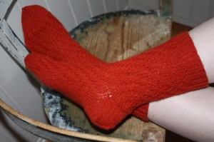 IMG_3493 IMG_3493
