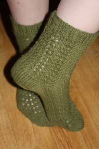 IMG_3701 IMG_3701