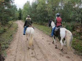 Horseback Riding at Otter Creek in New York’s Adirondack Mountains