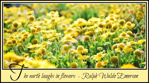 earthlaughsquote