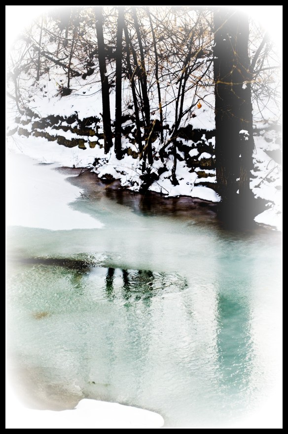 frozenreflection