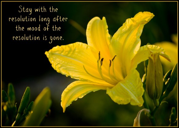 resolutionquote