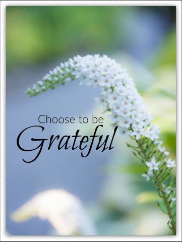 grateful