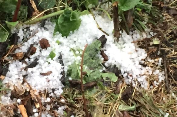 hail