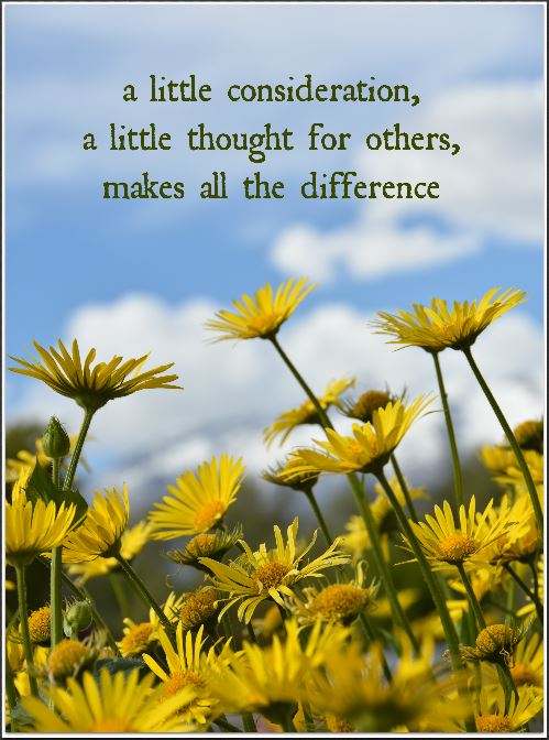 littleconsideration