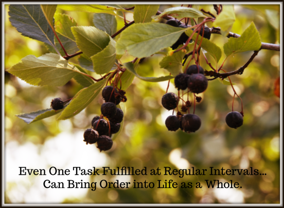fallberriesquote.png