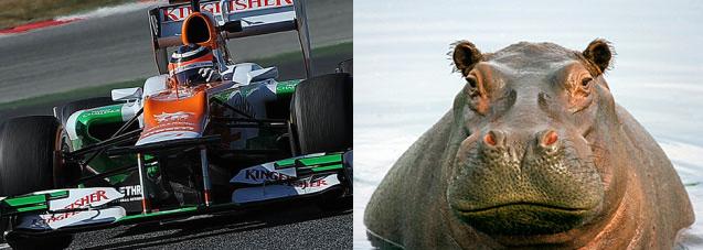 Force India viziló