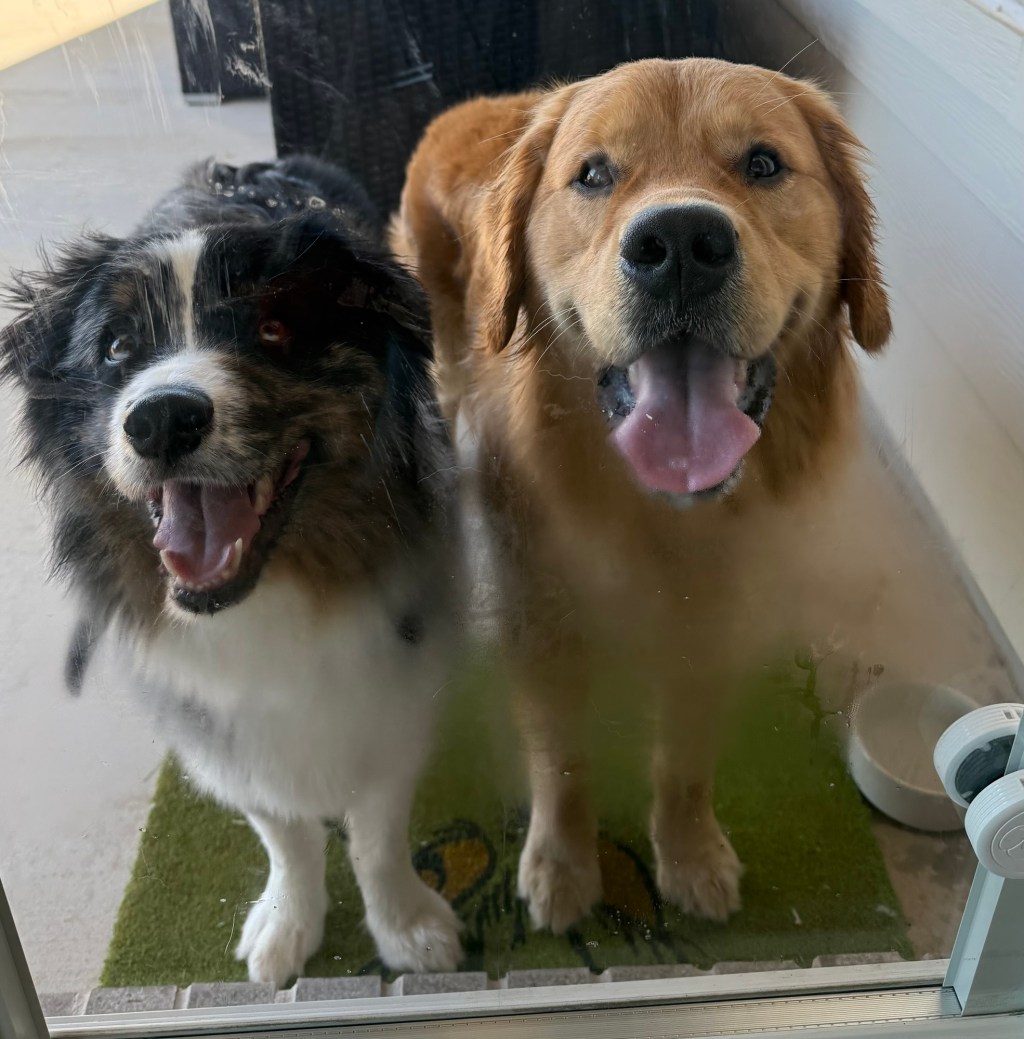 Tug of War, Chase, Repeat!