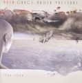 Grace Under Pressure: 1984 Tour