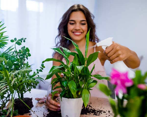 5 Smart Devices You Need For Your Indoor Plants