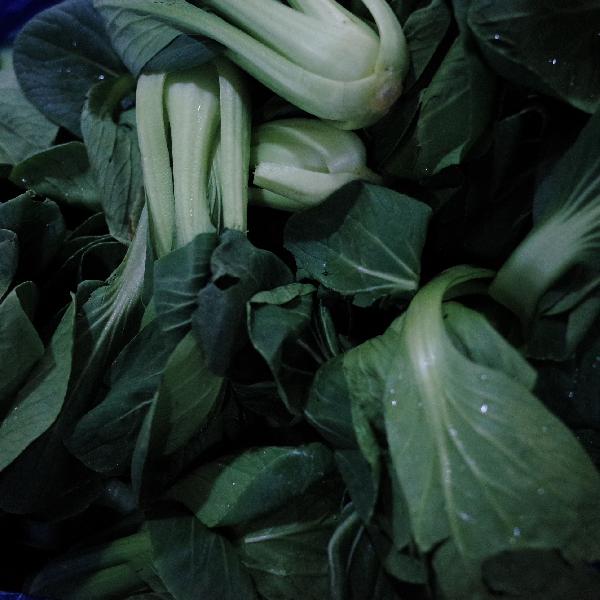 菜多次加热后能不能吃