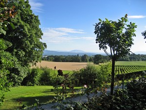 View from the Terrace.