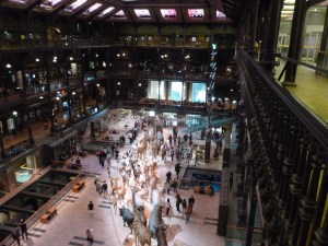 Natural History Museum - Evolution Hall.