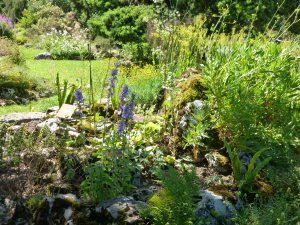 Botanical Garden, Geneva