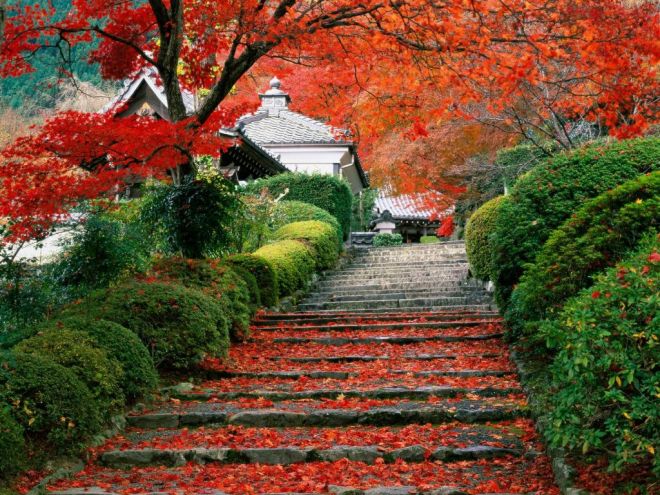 Steps leading to a temple, from gardendesigneye.com